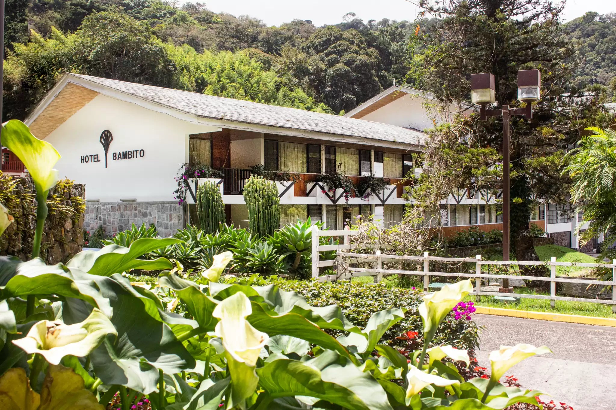 Hotel Bambito Resort Mega Ofertas